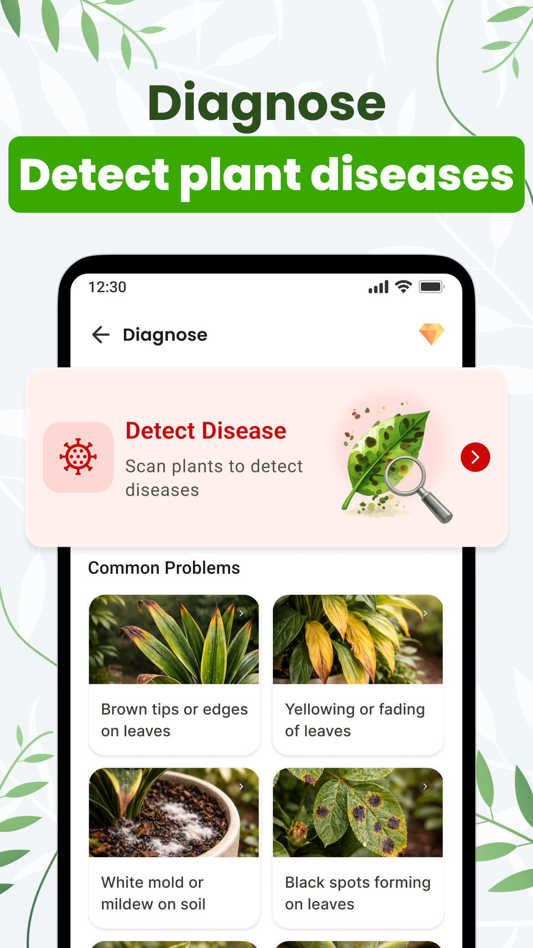 Detect Plant Disease