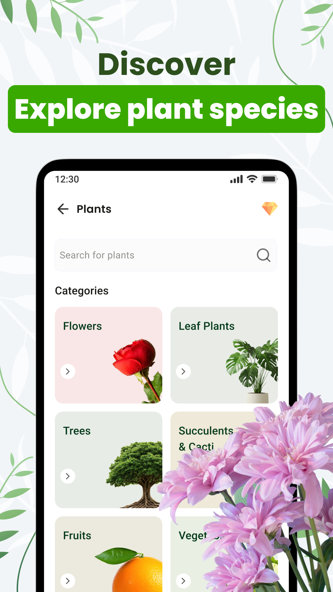 Explore Plant Species